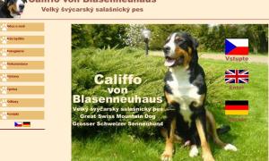 Califfo verze 2